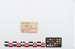 Foto von Bronzeziertülle (NHMW-PRAE-024484)